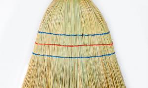 Balkan broom